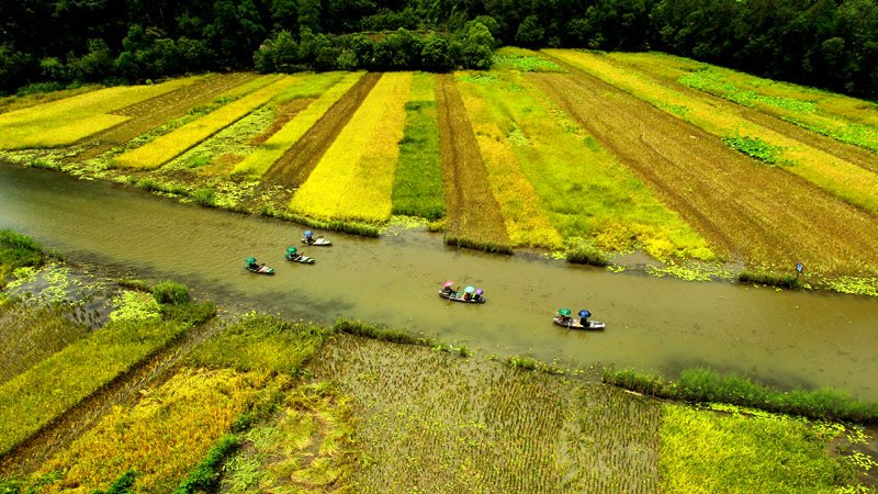 [-]Khách[-]Tây[-]ngỡ[-]ngàng[-]trước[-]vẻ[-]đẹp[-]Tam[-]Cốc[-]mùa[-]lúa[-]chín